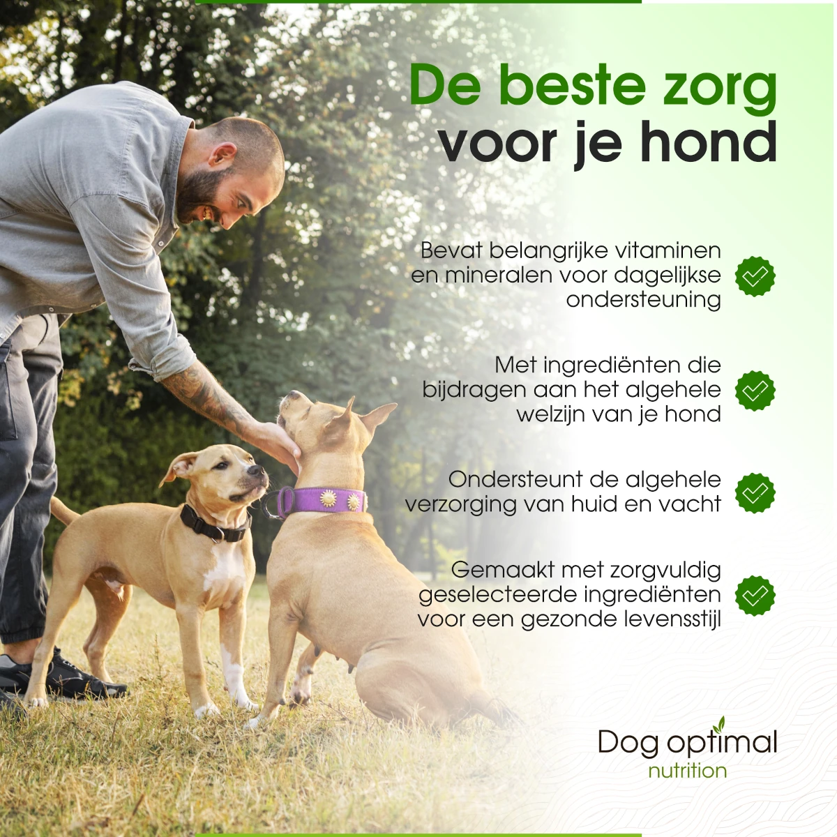 10-In-1 Multivitamin | 120 stuks - Afbeelding 6