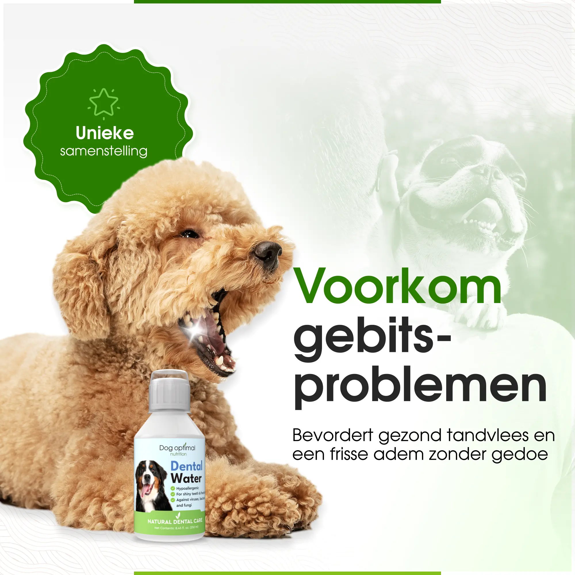 Dental Water | 250ml - Afbeelding 3