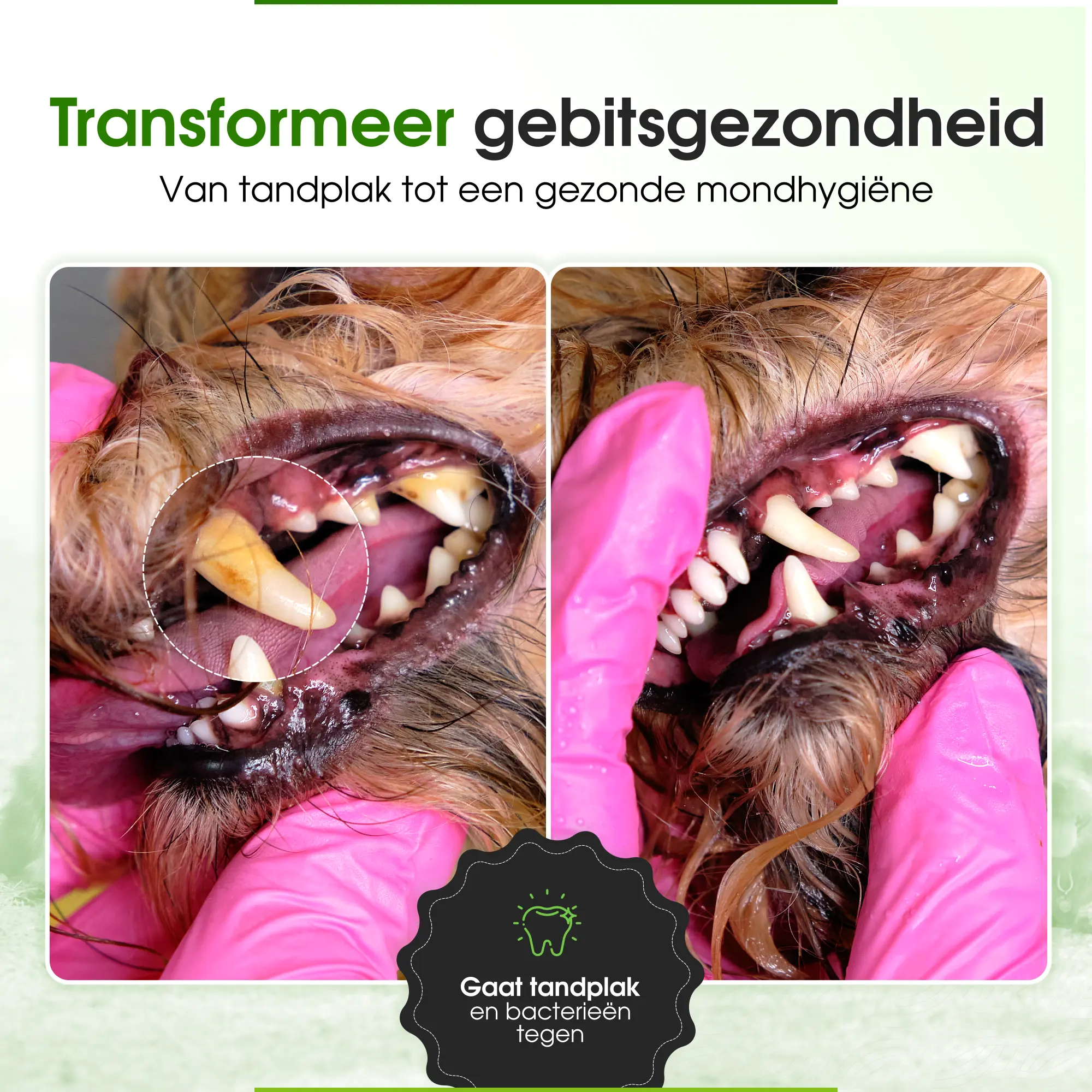 Dental Water | 250ml - Afbeelding 5