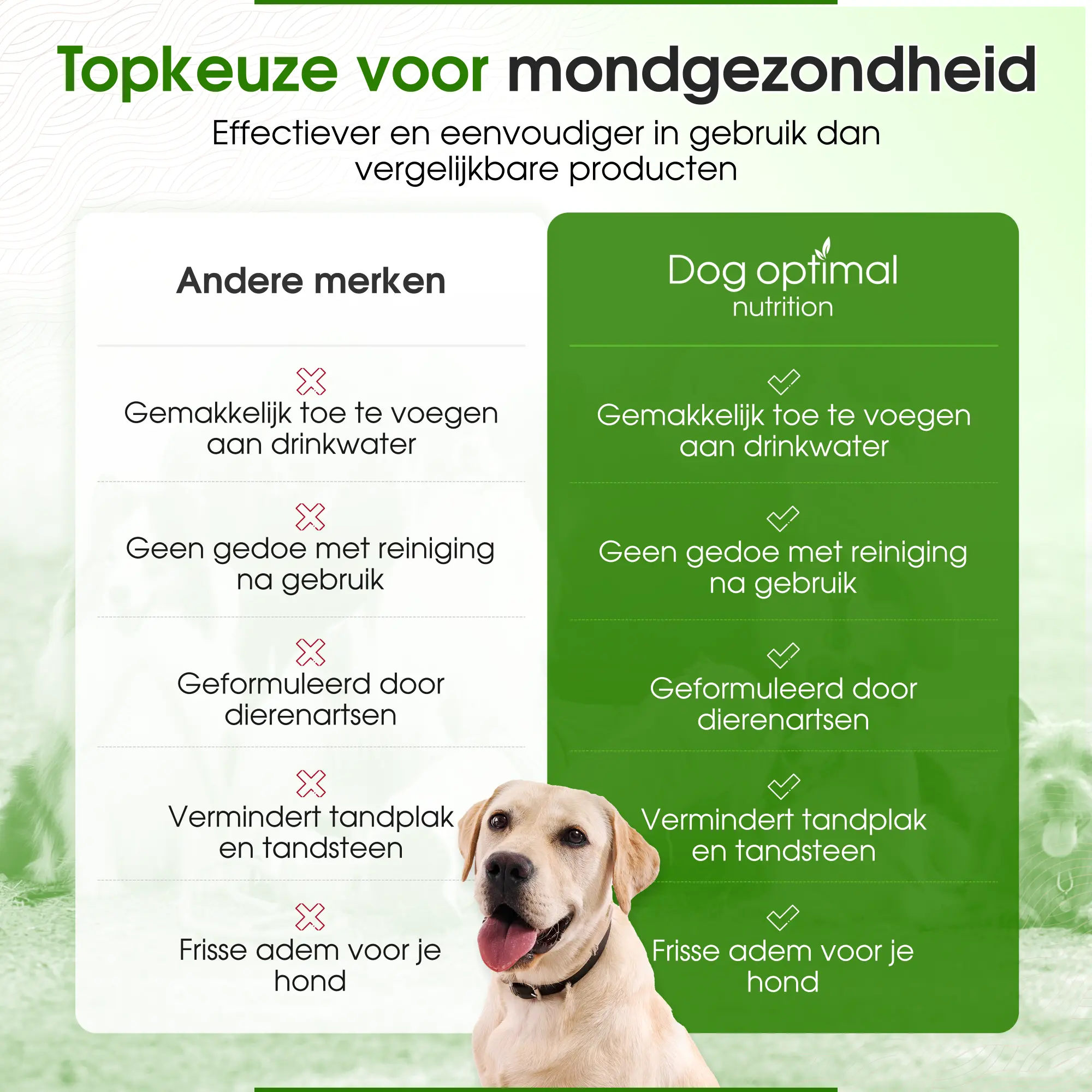 Dental Water | 250ml - Afbeelding 7