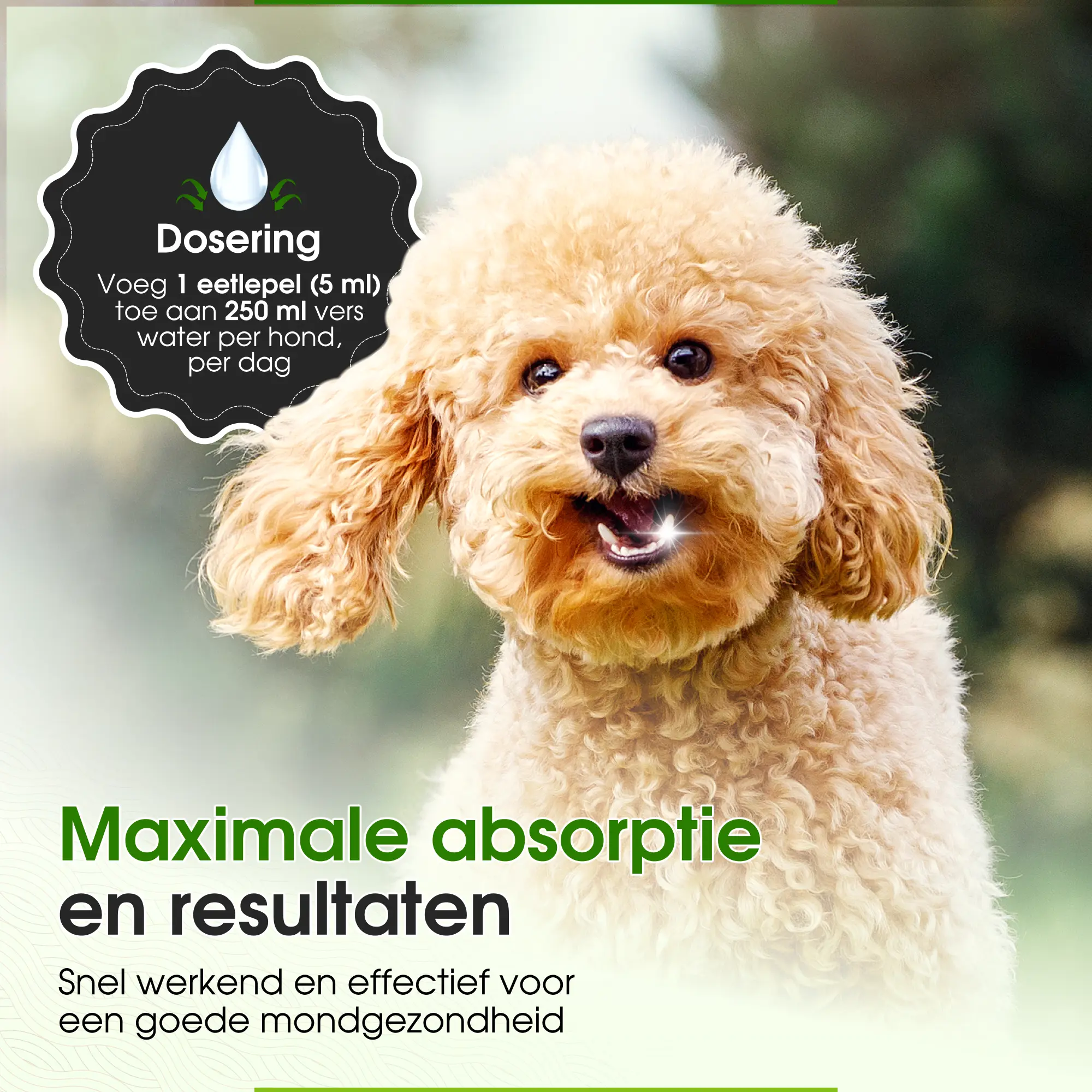 Dental Water | 250ml - Afbeelding 9