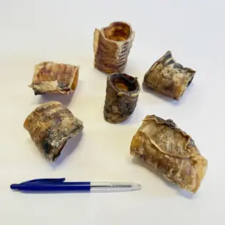 Runder Luchtpijp | 5 cm