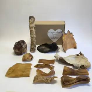 Snackbox Echte kauwers