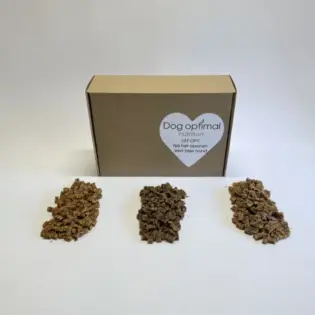 Trainersbox Hypoallergeen Try-Out