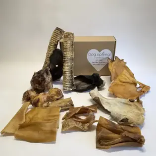 Snackbox Echte kauwers XXL