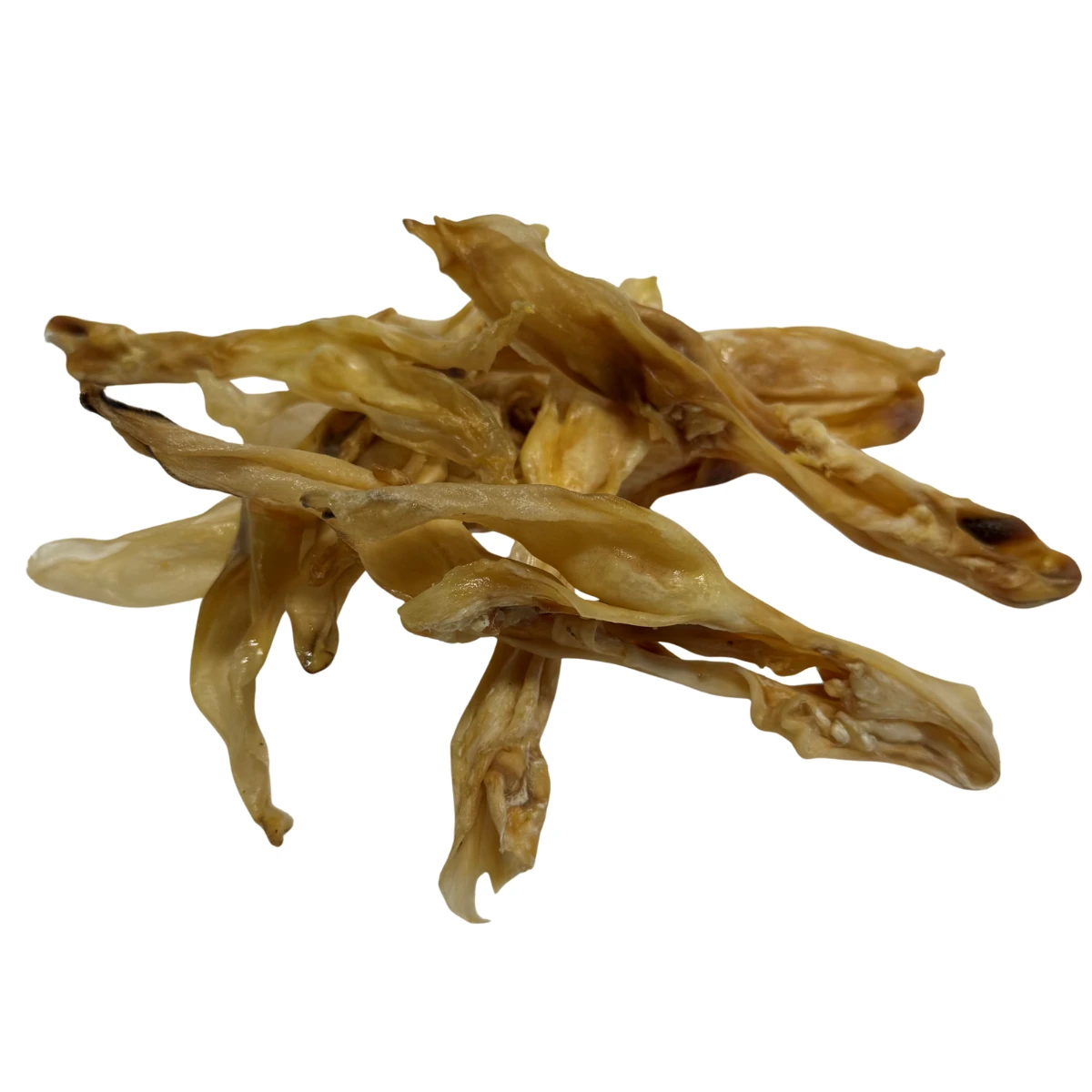 Konijnenoor - Afbeelding 2