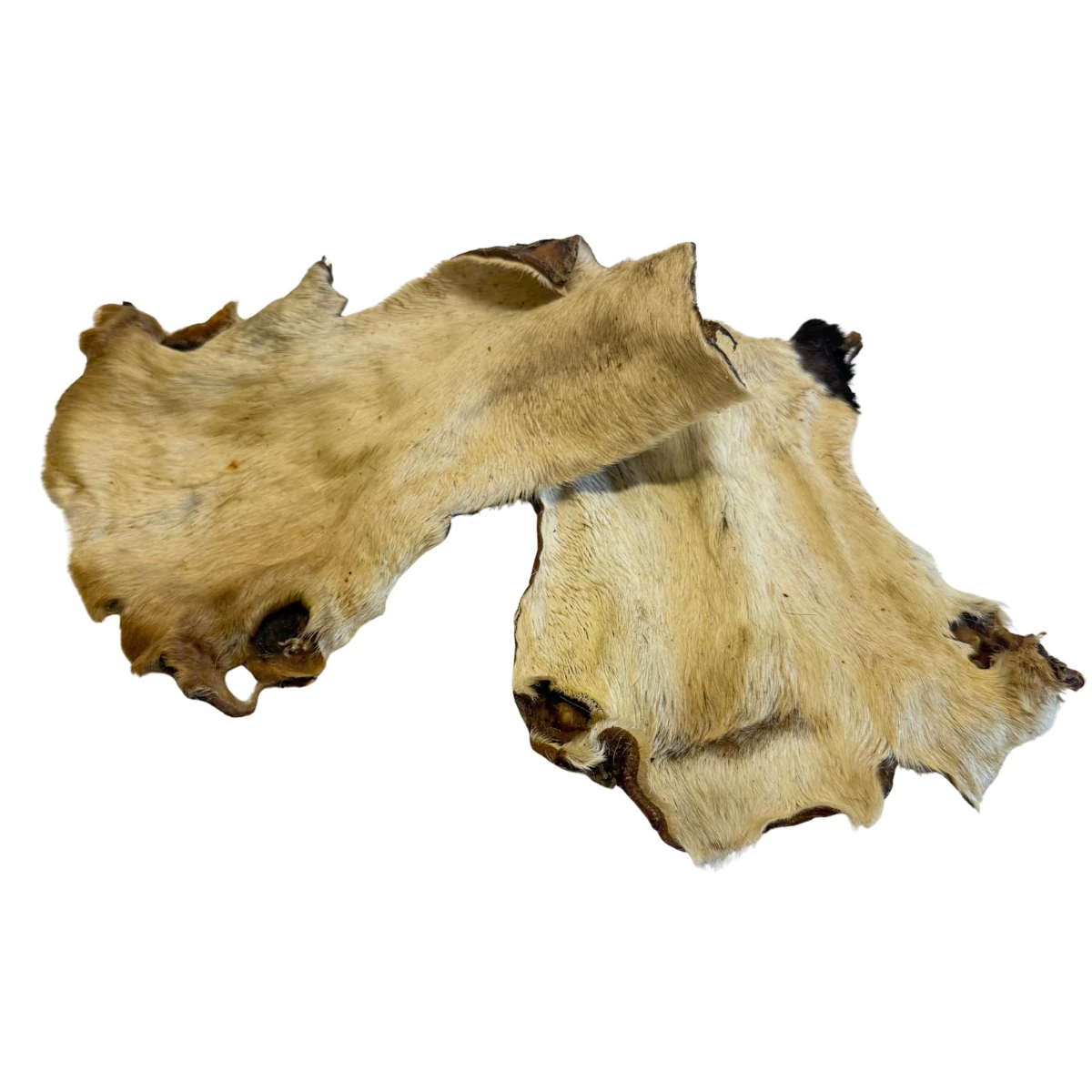 Runderkophuidplaat met haar