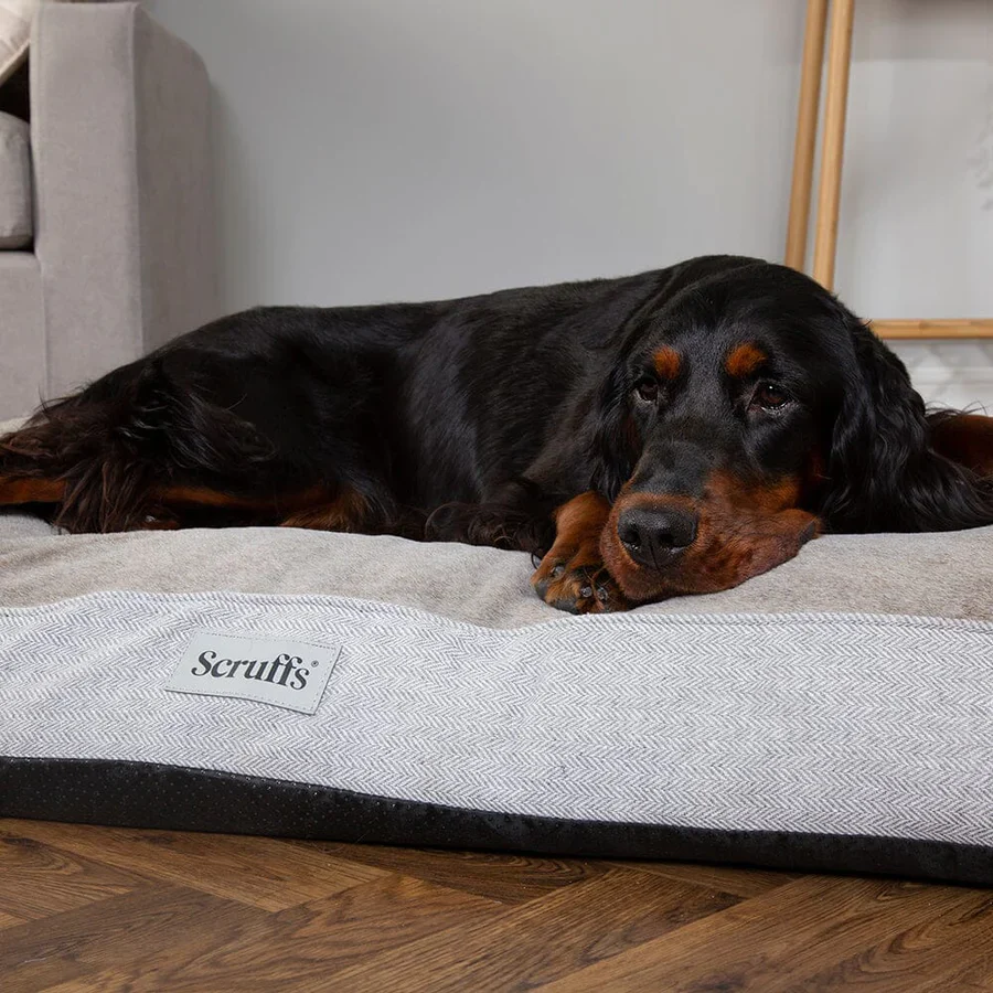 Harvard Orthopedisch Matras - Afbeelding 4