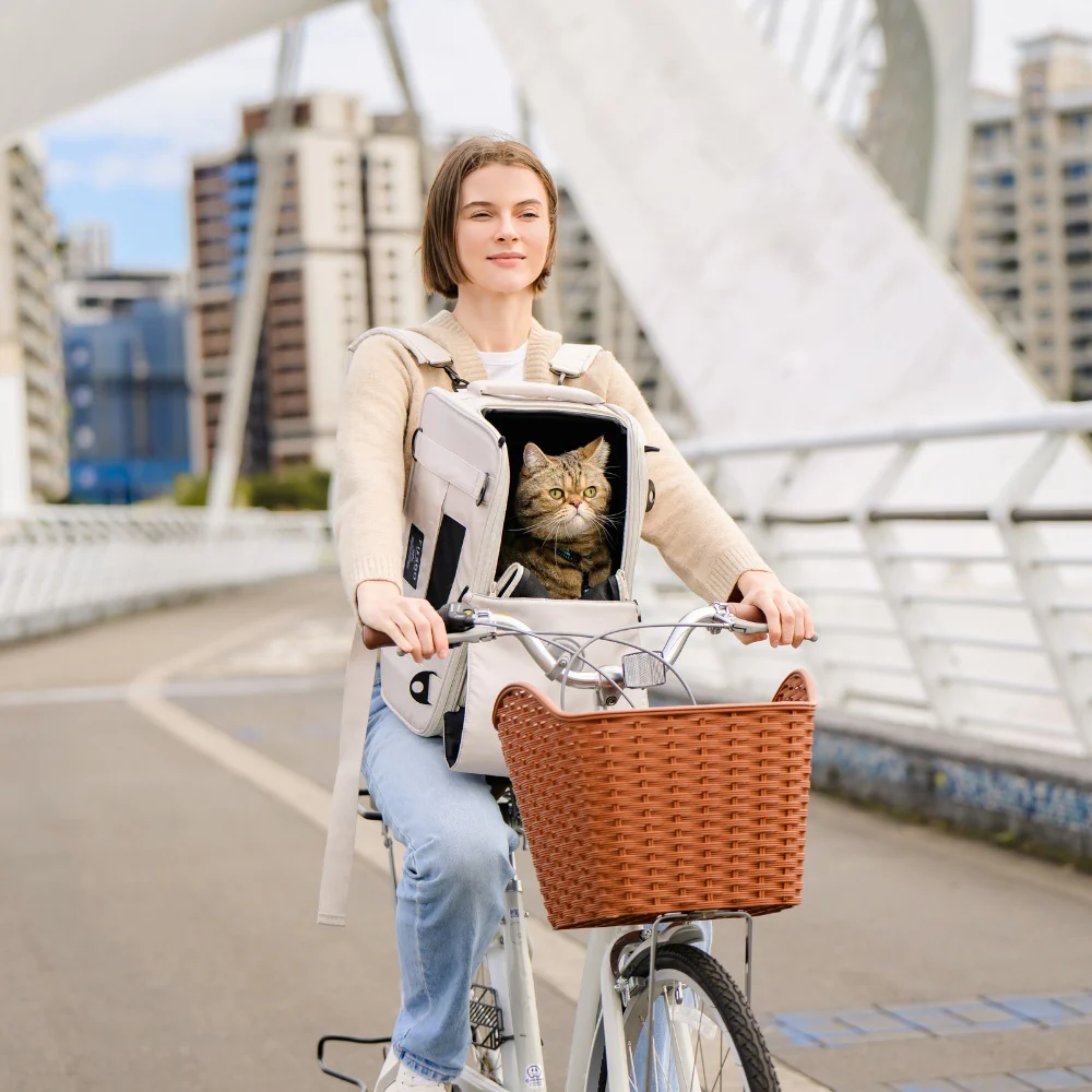 Truffle - Carry on Carrier - Afbeelding 2